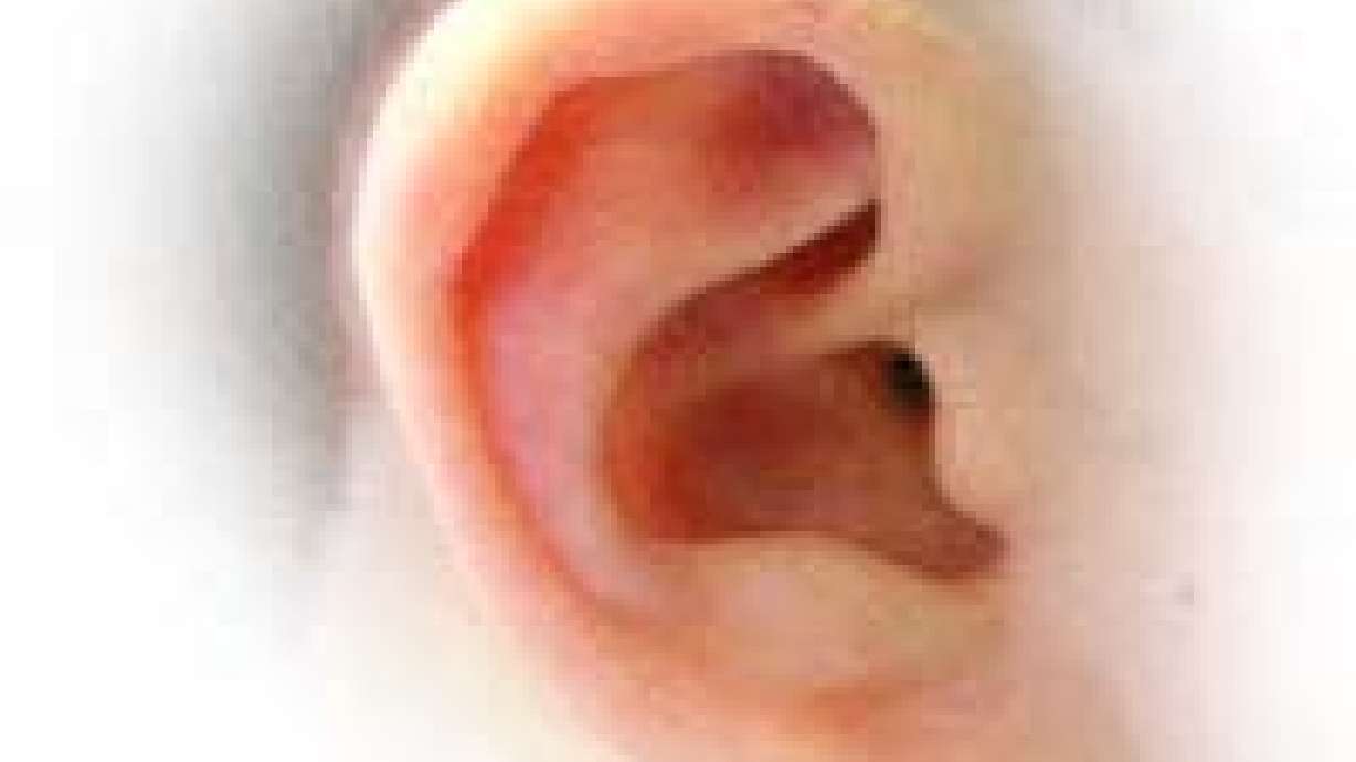 Help Needed For Utah's Deaf Population