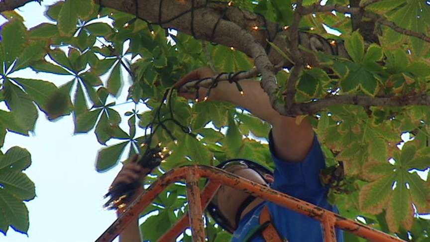 Signs All Point to Fact that Fall Is Here