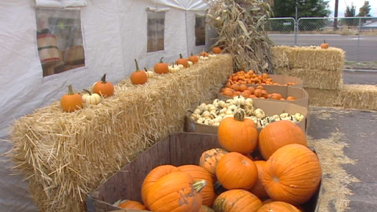 Signs All Point to Fact that Fall Is Here