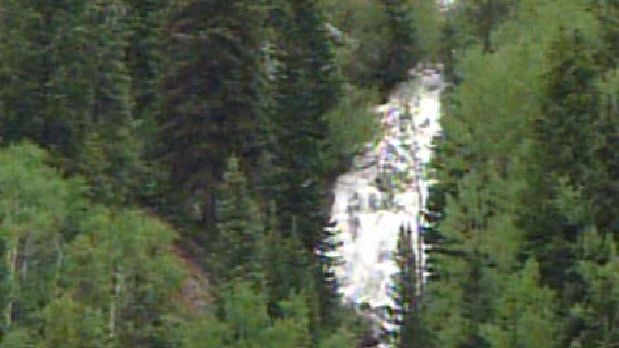 Appeals court upholds road ban in national forests