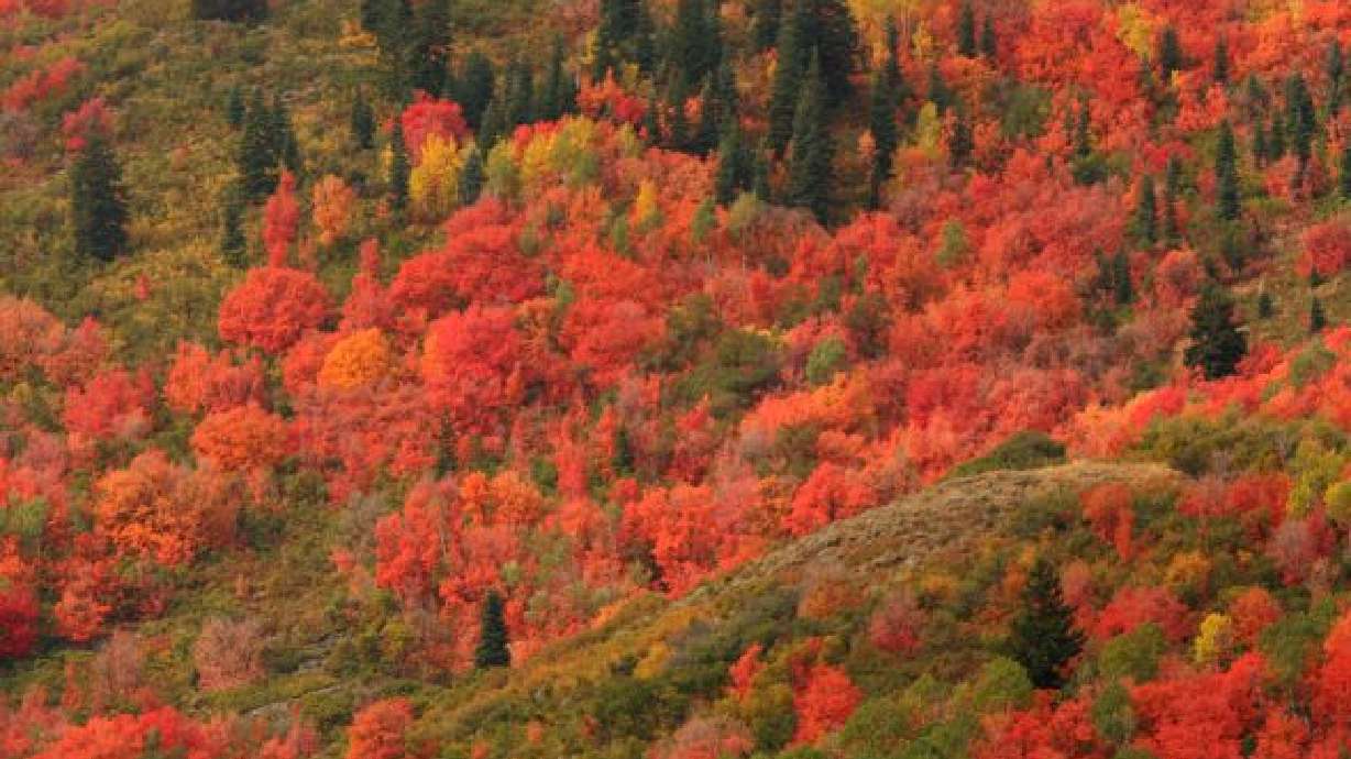 Hiking this Fall