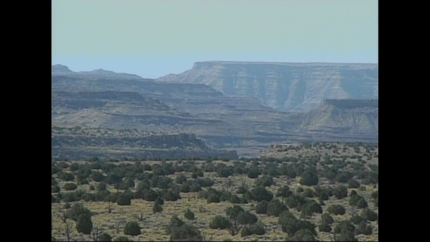 Dino Discoveries Thrilling Paleontologists