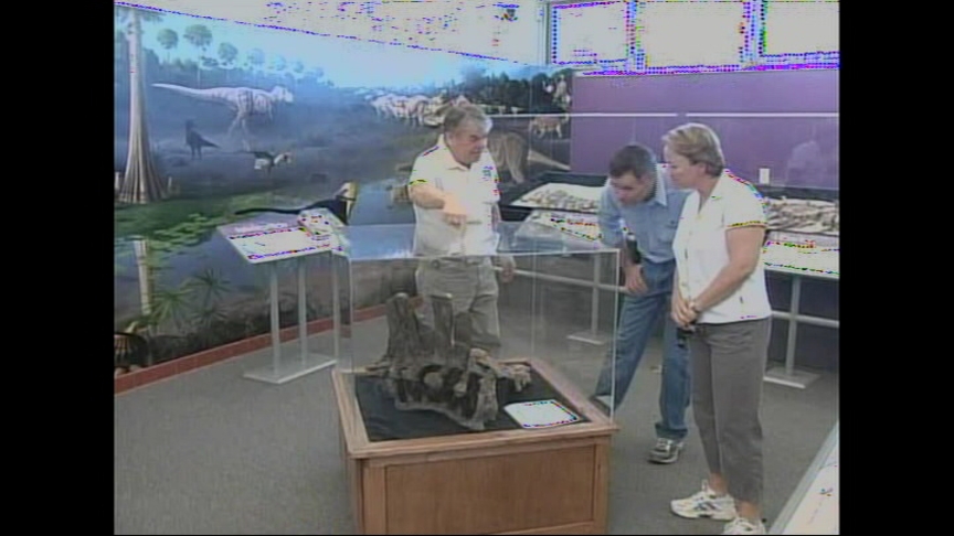 Dino Discoveries Thrilling Paleontologists