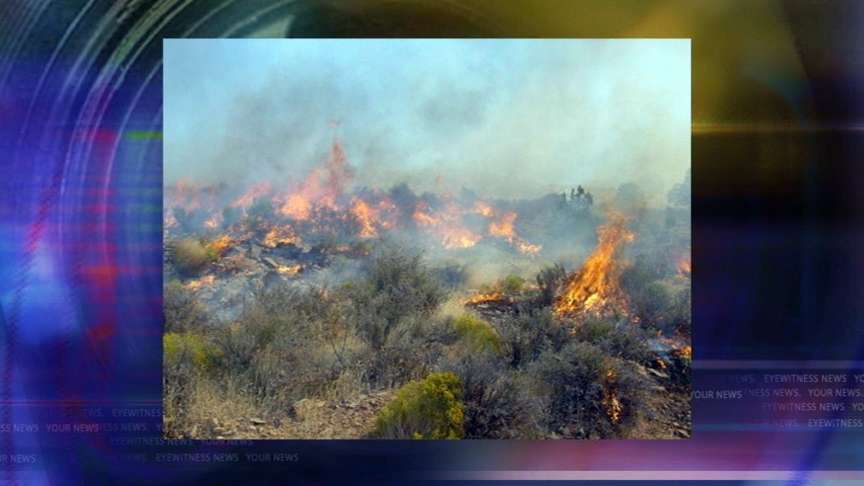100 Firefighters Battle Wildfire in S. Utah