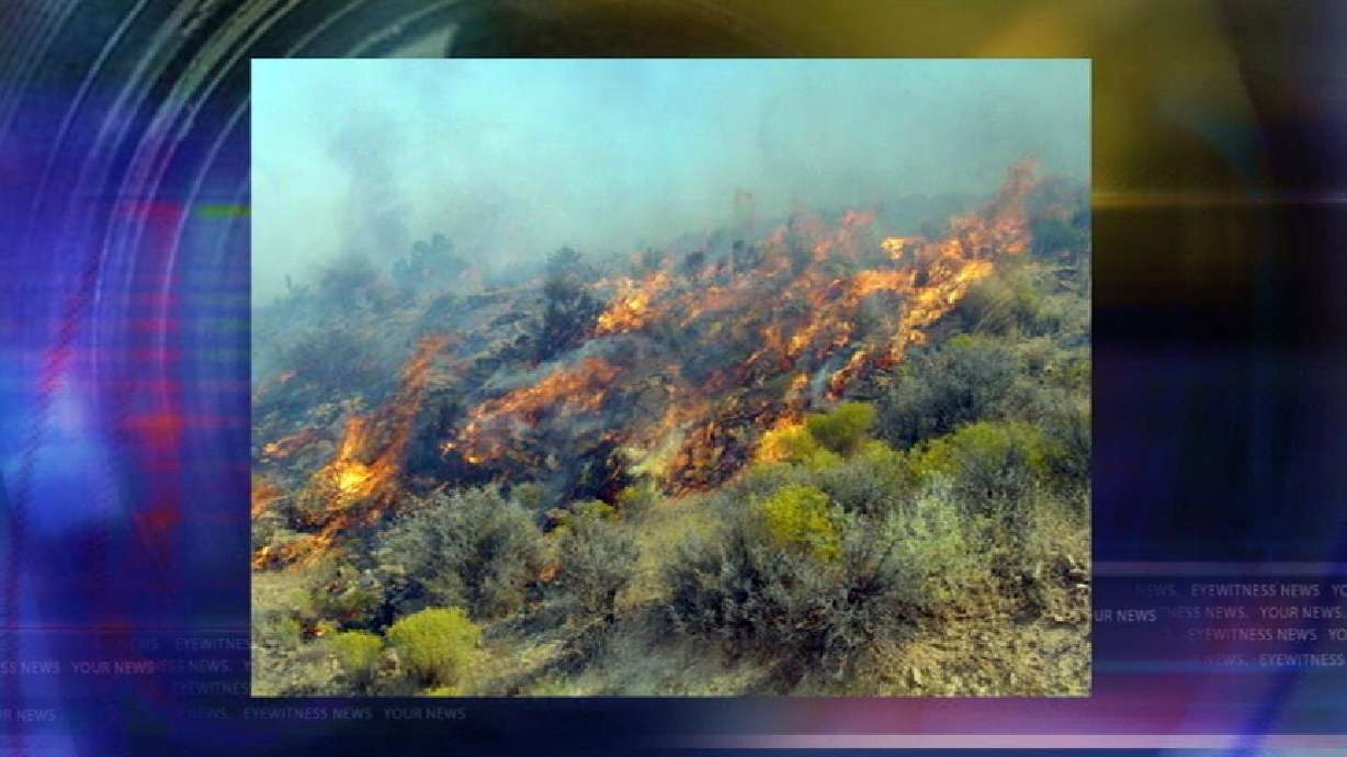 100 Firefighters Battle Wildfire in S. Utah