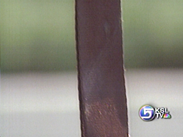 UHP Reiterates Importance of Seatbelt Use