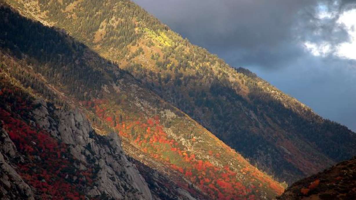 Fall in Utah 2005 Photo Gallery Part III