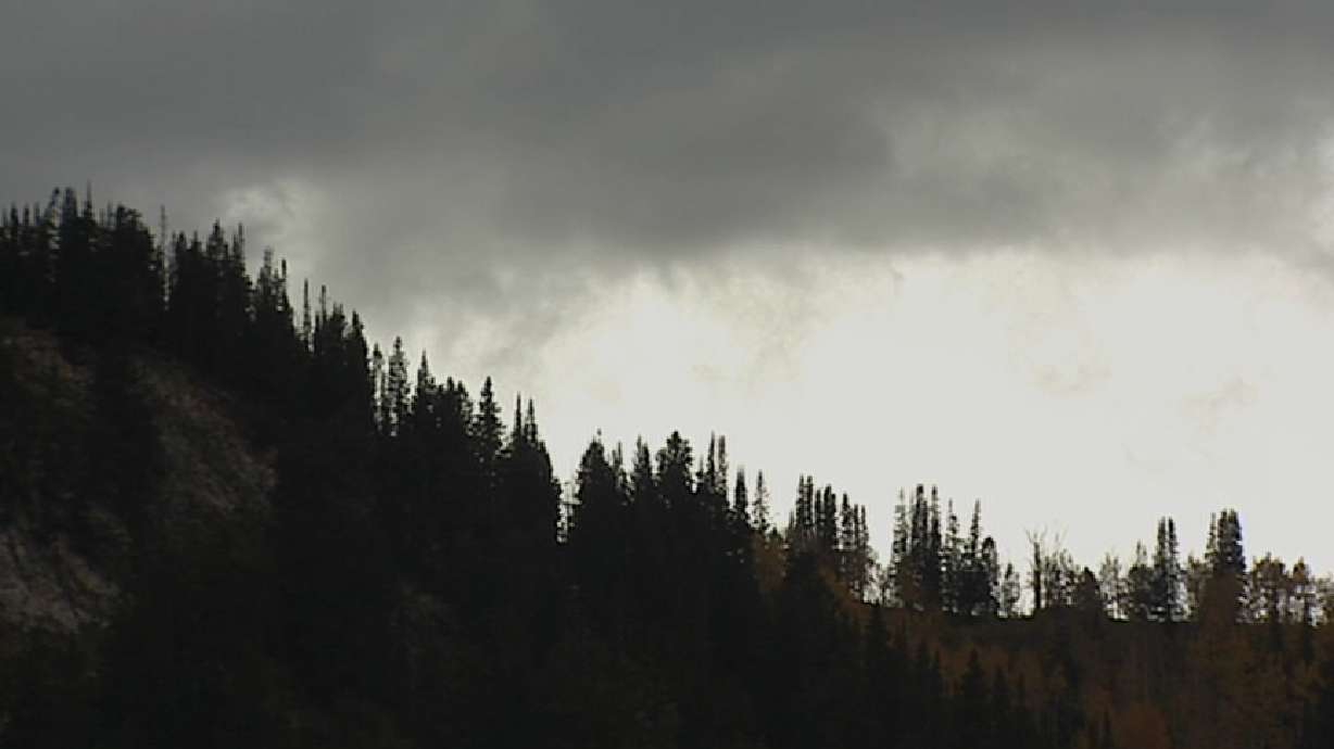 Temperature's Turning Chilly