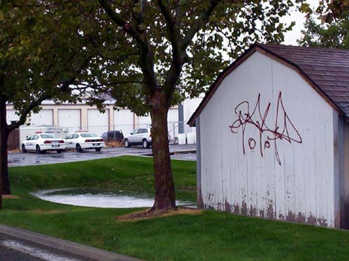 Tooele Police: Gang Activity a Growing Problem