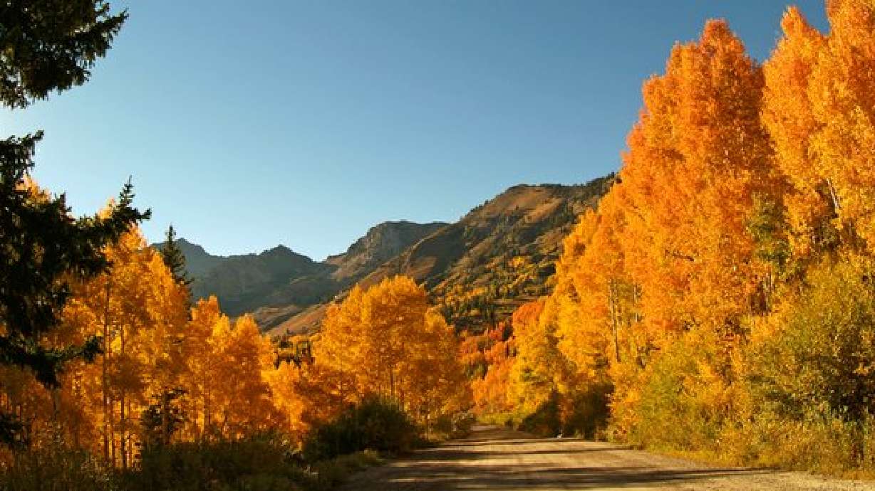 Fall in Utah 2005 Photo Gallery Part IV