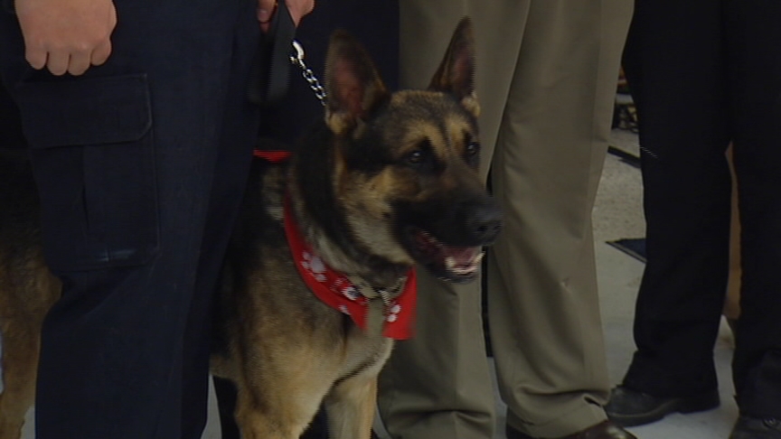 Taylorsville Police Add K-9 to Police Force