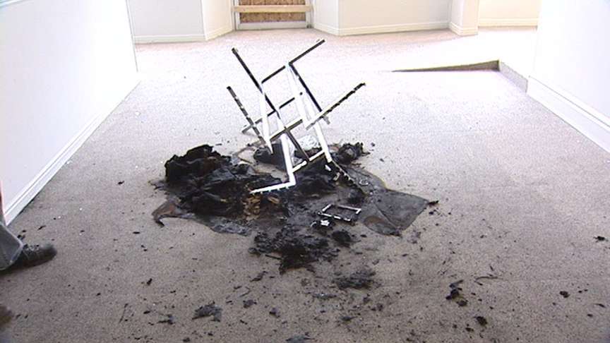 Insurance Fraud Costing Consumers Millions