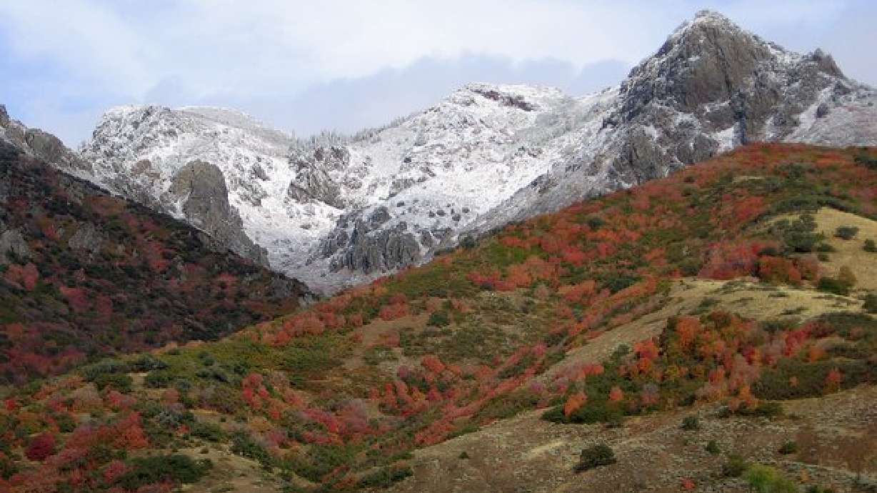 Fall in Utah 2005 Photo Gallery Part V
