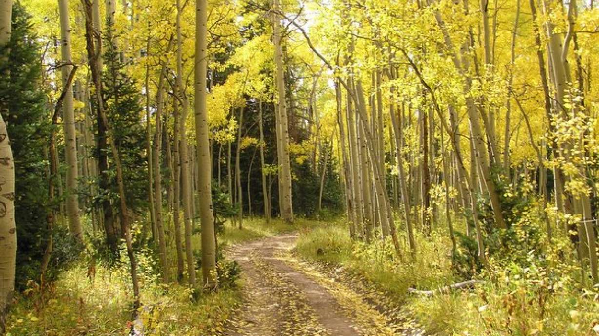 What is Your Favorite Hike in Utah?