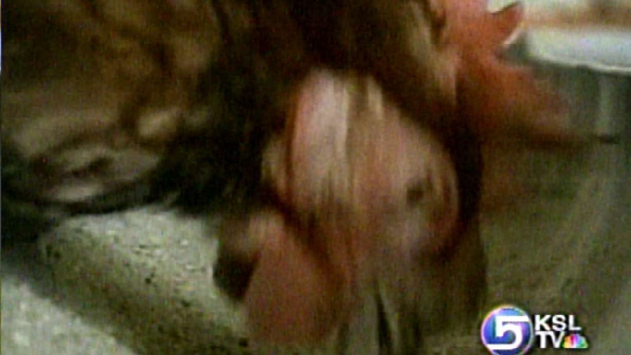 Government: Don't Panic About Bird Flu