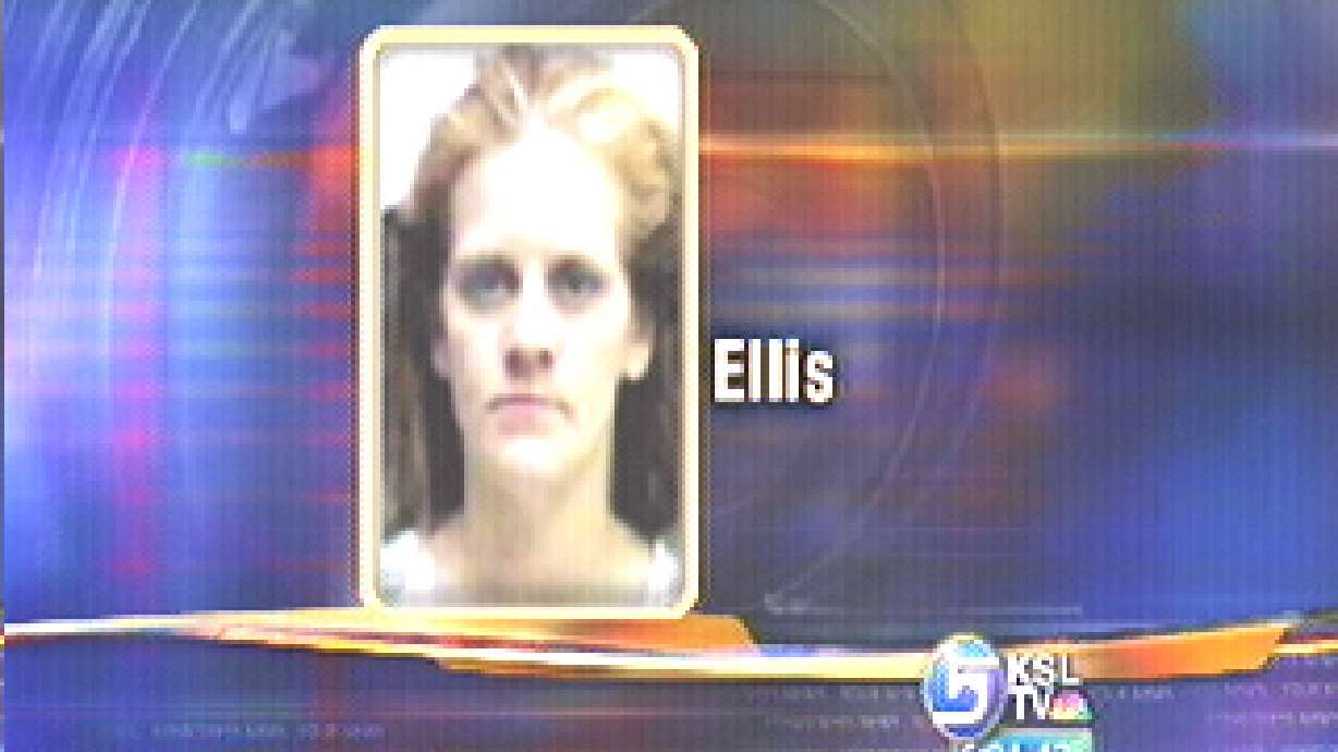 Woman Sought in Fraudulent Check Investigation