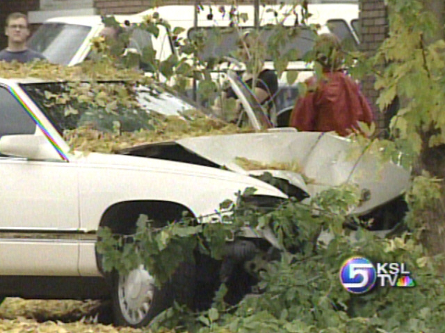 Police Arrest Suspected Drug Dealer