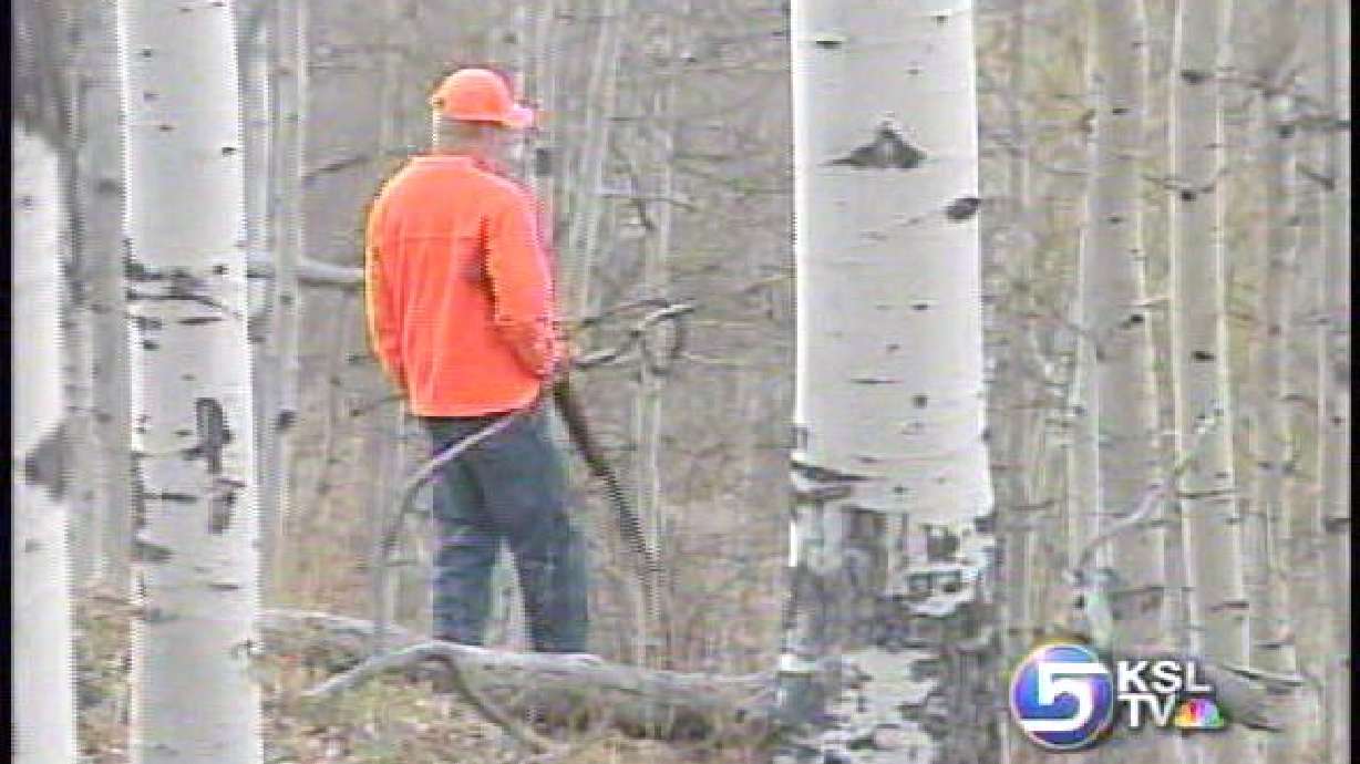 Good Weather Greets Deer Hunters