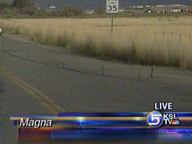 Skid marks from the accident