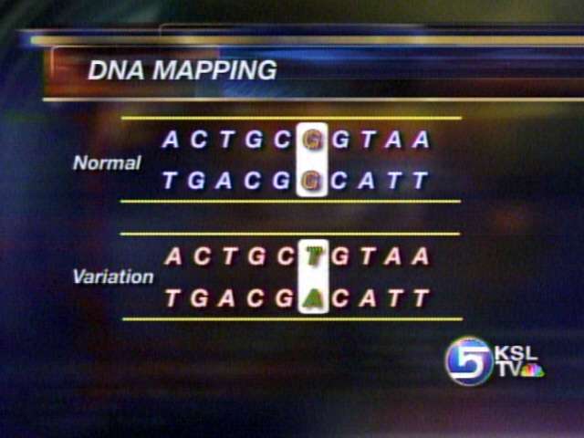 Scientists Gather to Study DNA Variations