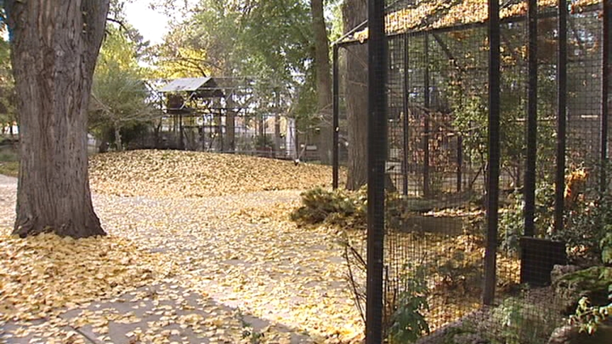 Tracy Aviary Prepares for Risk of Bird Flu