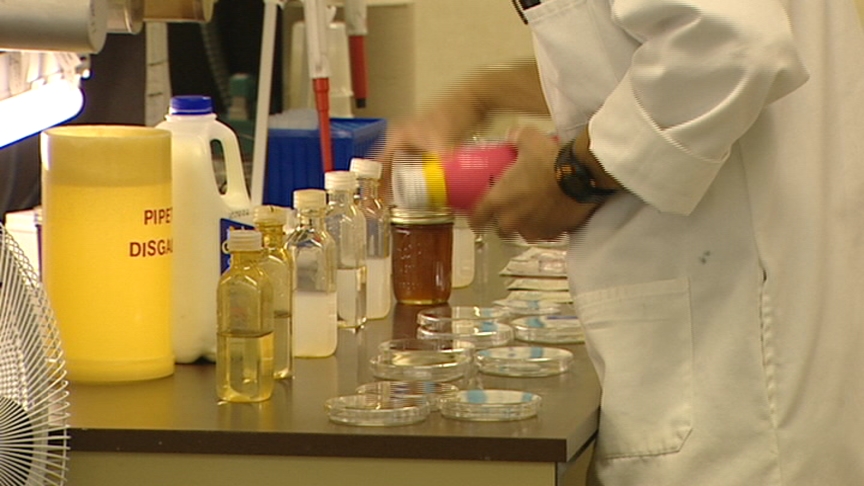 Investigative Report: Contaminant Found in Utah Milk