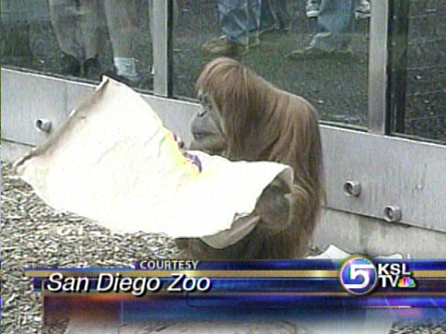 Orangutan Art Up for Auction