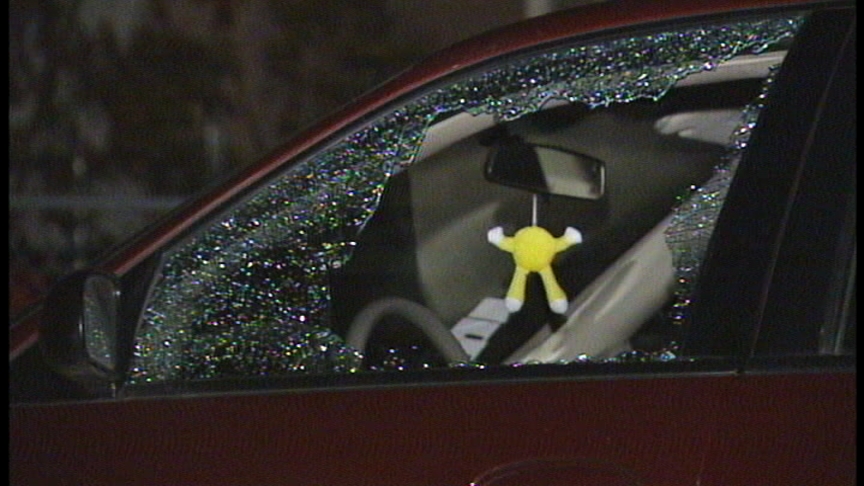 Dozens of Windshields Smashed in Vandalism Spree