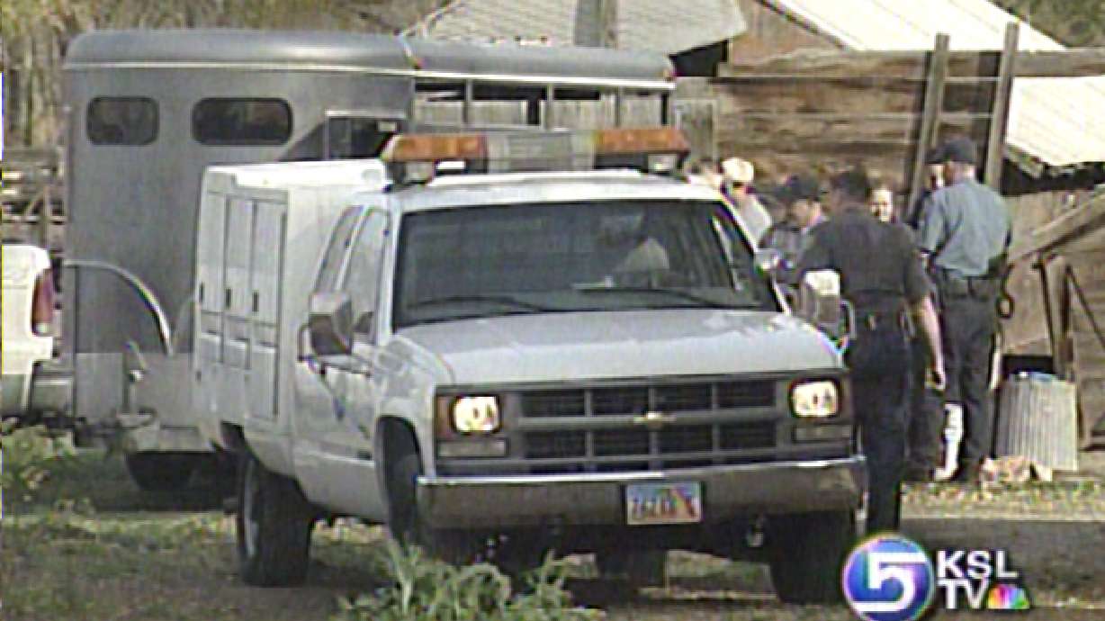 Steer Gets Loose on State Street