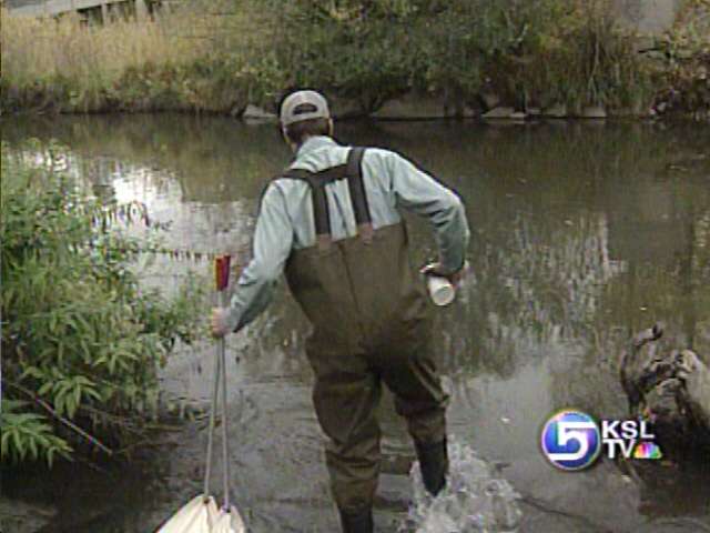 Fifth Graders Studying the Jordan River
