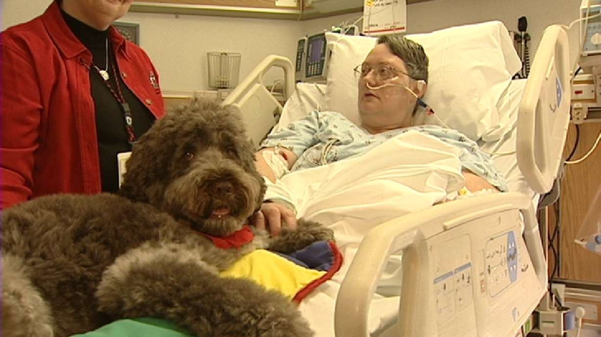 Study Shows Visits by Dogs are Beneficial to Heart Patients