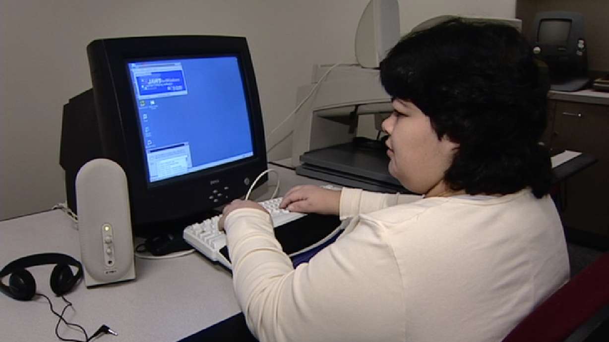 Programs Make Online Browsing Possible for Blind