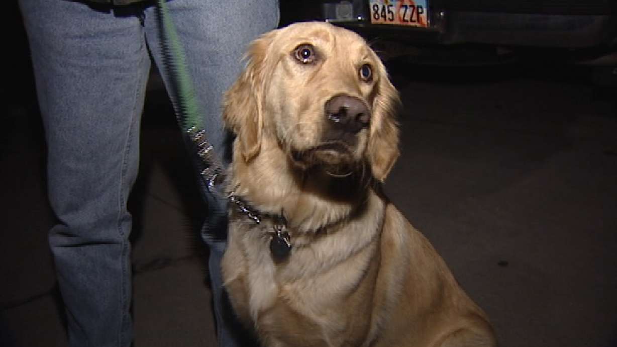 Dog Saves Couple From Carbon Monoxide