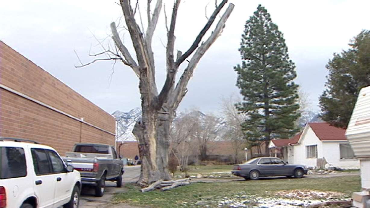 Family Beats Developer After 10 Years in Court