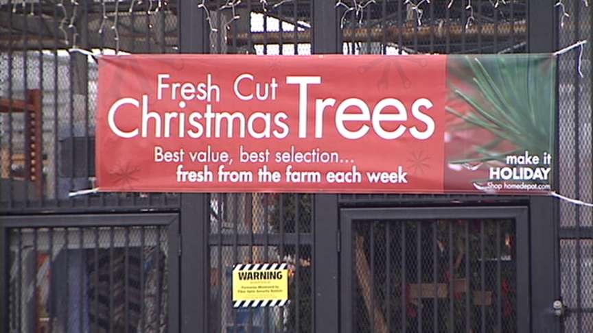 'Holiday Trees' vs. 'Christmas Trees'