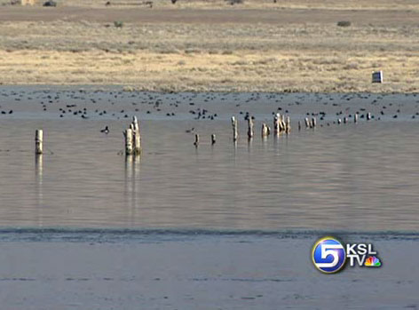 Iron County Couple Still Flooded Out of Home