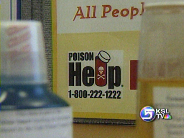 Poisons to Be Aware of During Holiday Season
