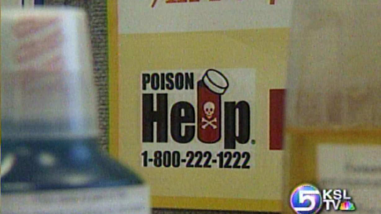 Poisons to Be Aware of During Holiday Season
