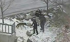 Burglary Suspect Escapes from Police Car