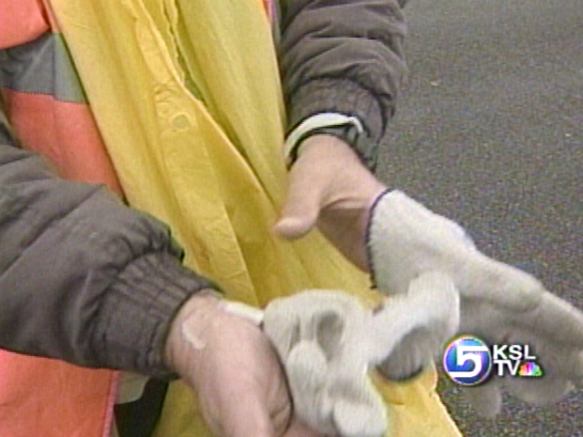 Police Looking for Driver Who Hit Flagger