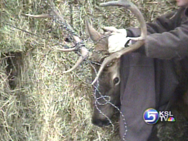 Animal Rescues Part of Game Wardens' Day