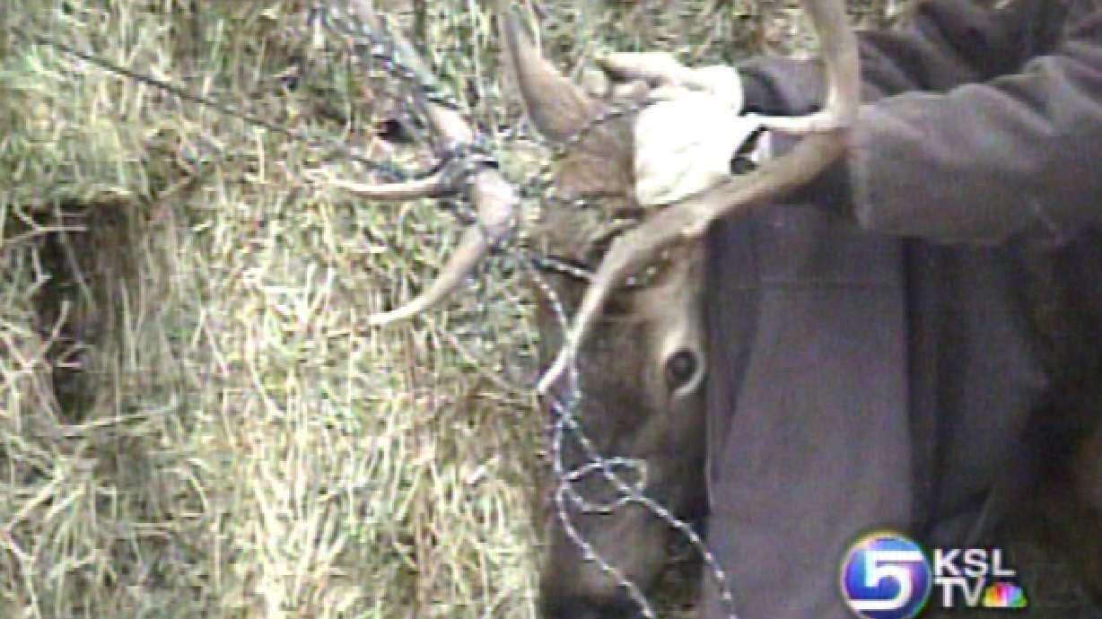 Animal Rescues Part of Game Wardens' Day