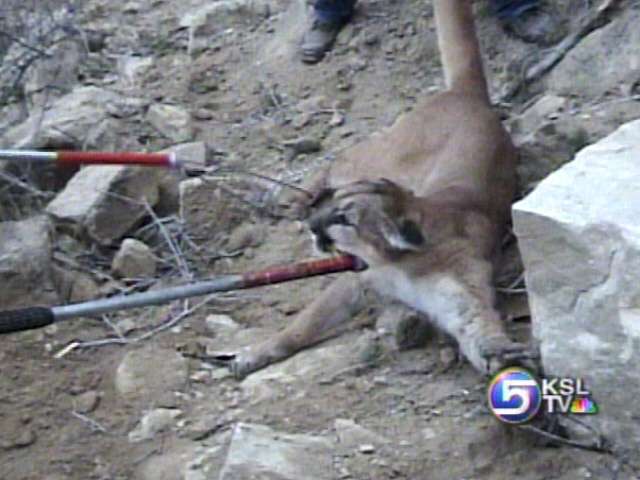 Animal Rescues Part of Game Wardens' Day