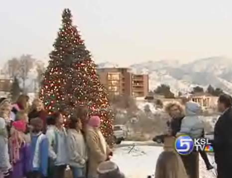 State's Christmas Tree Lit