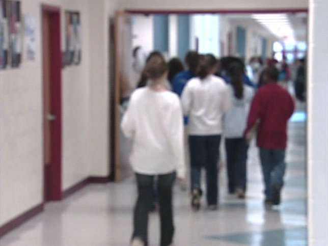 Immigrant Population is Growing