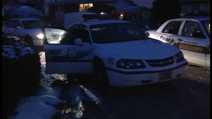 Thief Steals Police Car