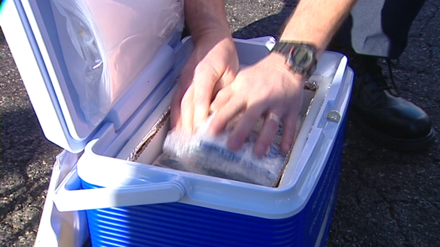 Trauma Centers to Start Using Synthetic Blood