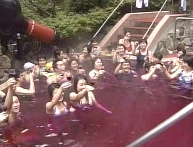 The Wild and Wacky of 2005