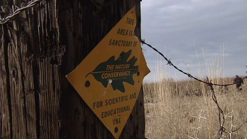 Birds Finding Homes Through 'Wetlands Bank'