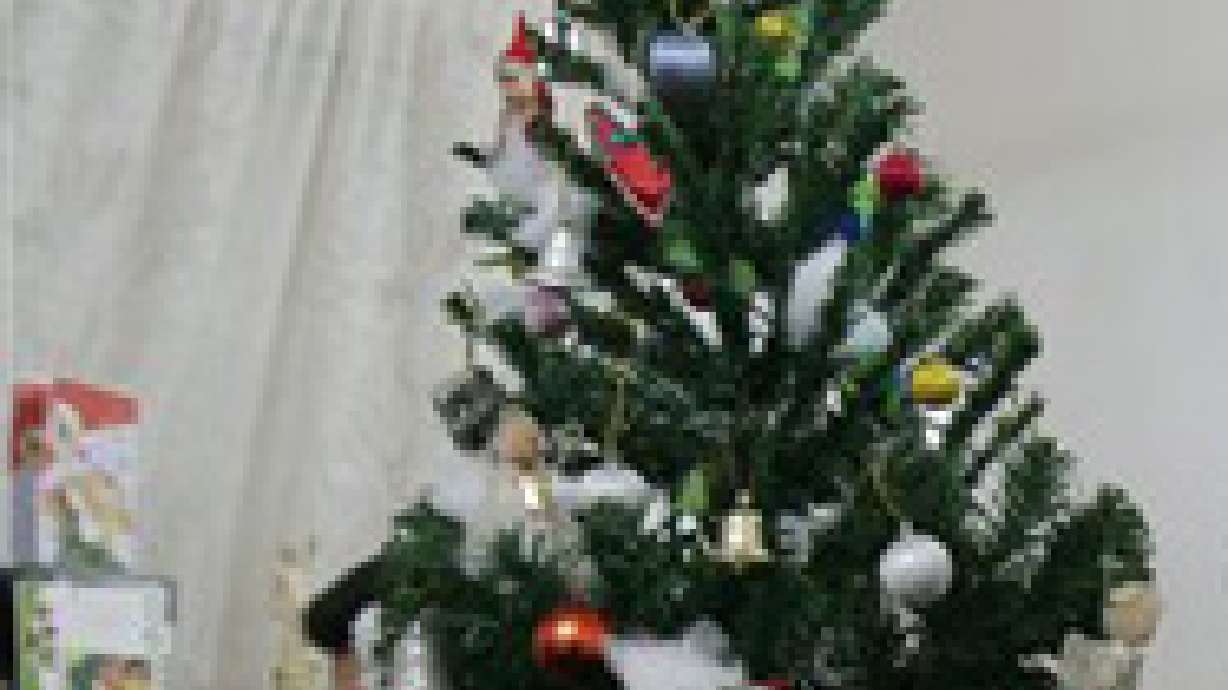 Safety Tip: Remeber to Keep Your Christmas Tree Hydrated